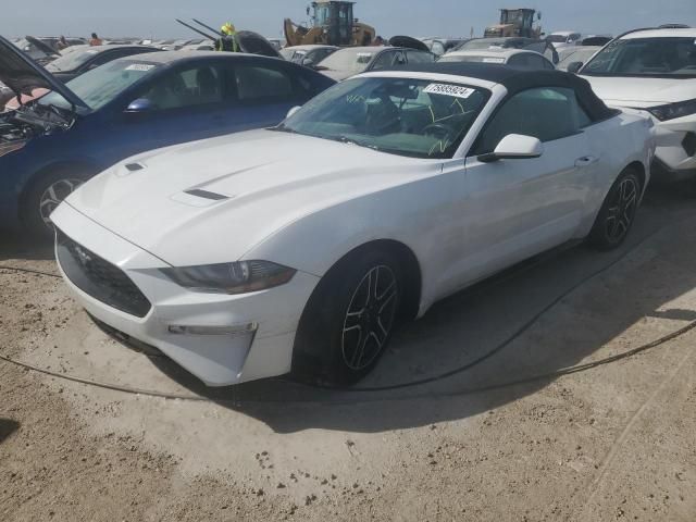 2021 Ford Mustang