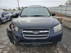 2007 Hyundai Santa FE SE