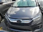 2019 Honda Odyssey EXL