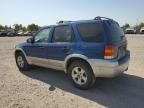 2007 Ford Escape XLT