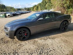 Chevrolet Vehiculos salvage en venta: 2010 Chevrolet Camaro LT