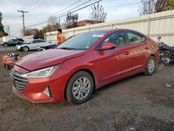 Hyundai Elantra salvage cars for sale: 2019 Hyundai Elantra SE