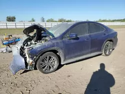 Salvage cars for sale at Houston, TX auction: 2023 Subaru WRX