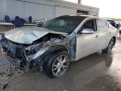 Salvage cars for sale at West Palm Beach, FL auction: 2014 Nissan Maxima S