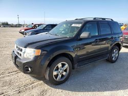 Salvage cars for sale at Arcadia, FL auction: 2010 Ford Escape XLT