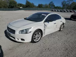 2011 Nissan Maxima S en venta en Madisonville, TN