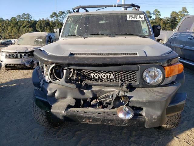 2013 Toyota FJ Cruiser