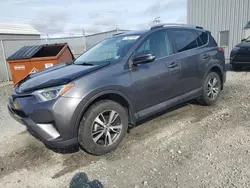 Salvage cars for sale at Elmsdale, NS auction: 2018 Toyota Rav4 LE