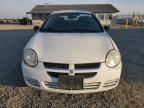 2005 Dodge Neon SXT