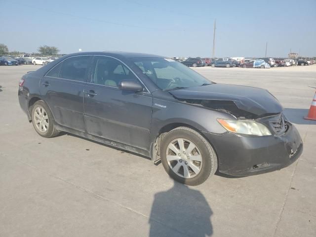 2009 Toyota Camry Hybrid