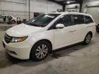 2017 Honda Odyssey EXL