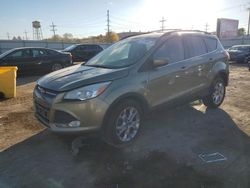 Salvage cars for sale at Chicago Heights, IL auction: 2013 Ford Escape SE