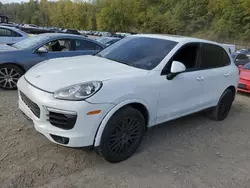 Porsche Vehiculos salvage en venta: 2017 Porsche Cayenne