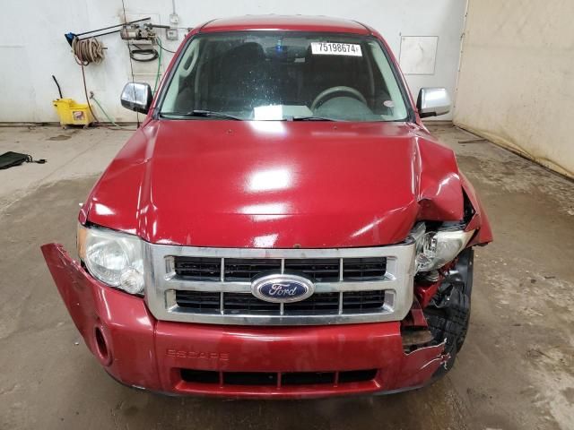 2012 Ford Escape XLS