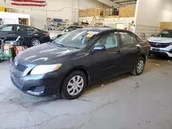 2010 Toyota Corolla Base en venta en Ham Lake, MN