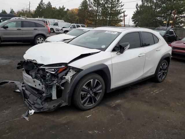 2020 Lexus UX 250H