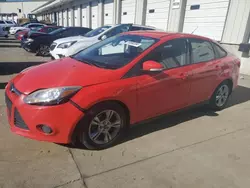 Ford Focus salvage cars for sale: 2014 Ford Focus SE