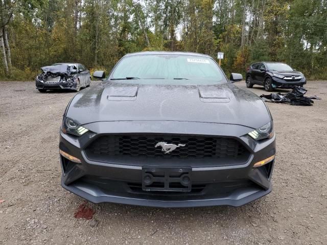 2019 Ford Mustang