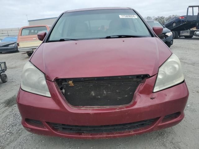 2005 Honda Odyssey EXL