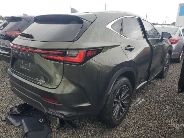 2024 Lexus NX 350H Base