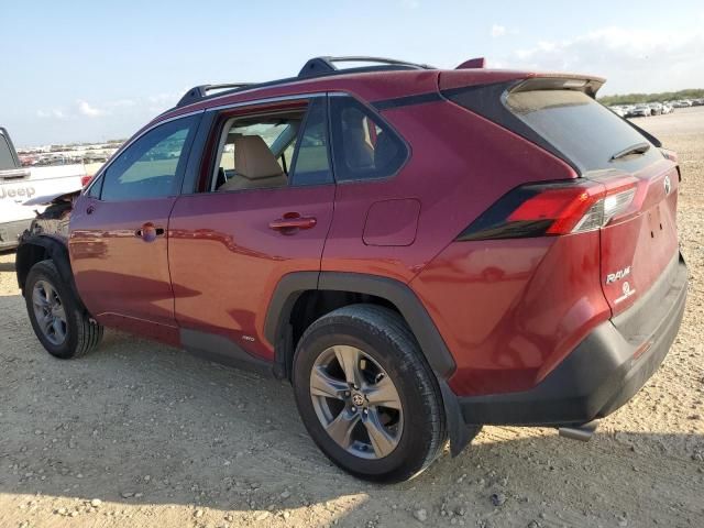 2024 Toyota Rav4 XLE