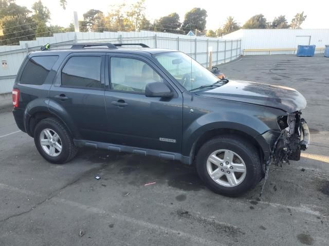 2008 Ford Escape HEV