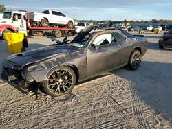 Dodge Vehiculos salvage en venta: 2022 Dodge Challenger R/T Scat Pack