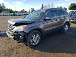 Honda salvage cars for sale: 2010 Honda CR-V EX