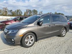 Salvage cars for sale at Spartanburg, SC auction: 2019 Honda Odyssey EXL