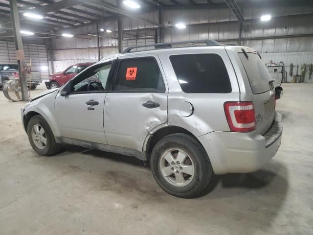 2010 Ford Escape XLT