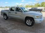 2011 Dodge Dakota SLT