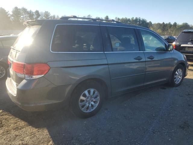 2008 Honda Odyssey EXL