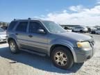 2007 Ford Escape XLT