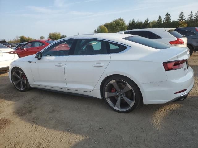 2019 Audi S5 Prestige