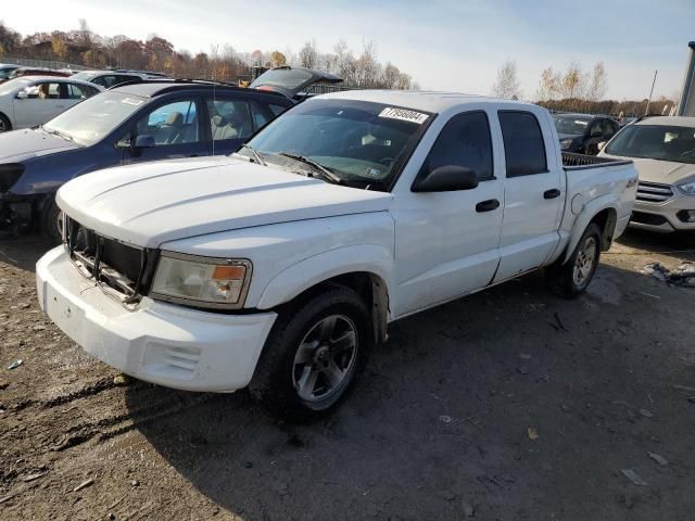 2008 Dodge Dakota Quattro