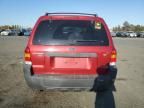 2005 Ford Escape XLT