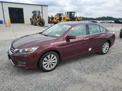 Salvage cars for sale at Lumberton, NC auction: 2013 Honda Accord EXL