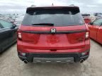 2023 Honda Passport Trail Sport