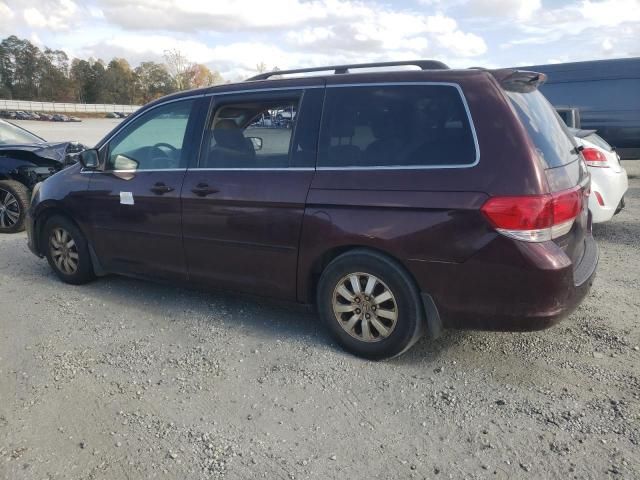 2009 Honda Odyssey EXL