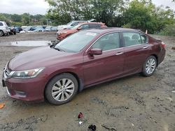 Honda salvage cars for sale: 2015 Honda Accord EXL