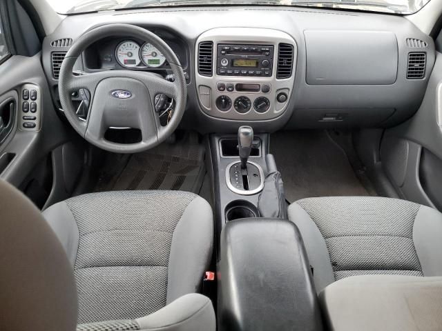 2005 Ford Escape XLT