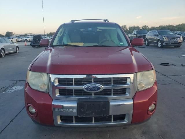 2011 Ford Escape Limited