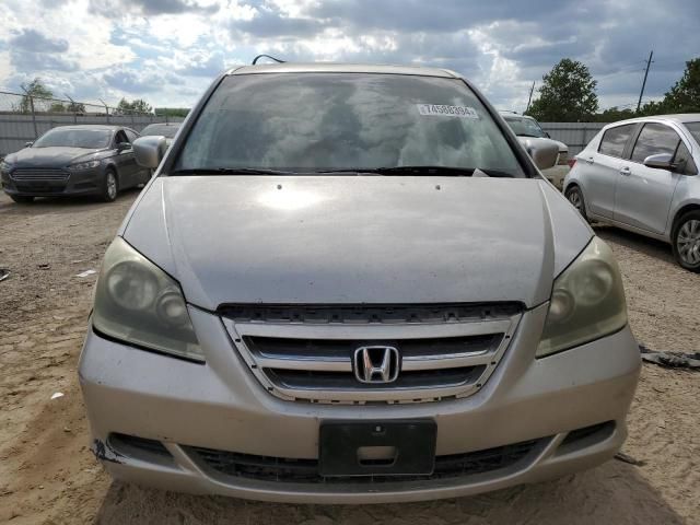 2005 Honda Odyssey EXL