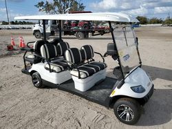 Vehiculos salvage en venta de Copart Riverview, FL: 2023 Aspt Golf Cart