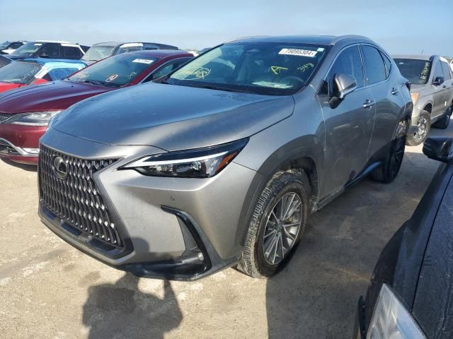 2023 Lexus NX 350