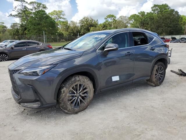 2025 Lexus NX 250 Premium