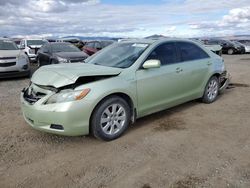 Toyota salvage cars for sale: 2009 Toyota Camry Hybrid