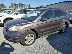 2011 Honda CR-V EXL en venta en Spartanburg, SC