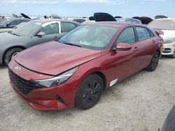 Salvage cars for sale at Riverview, FL auction: 2023 Hyundai Elantra Blue