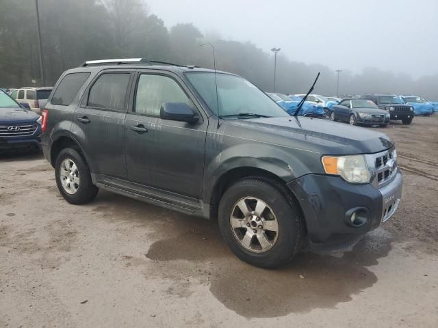 2009 Ford Escape Limited